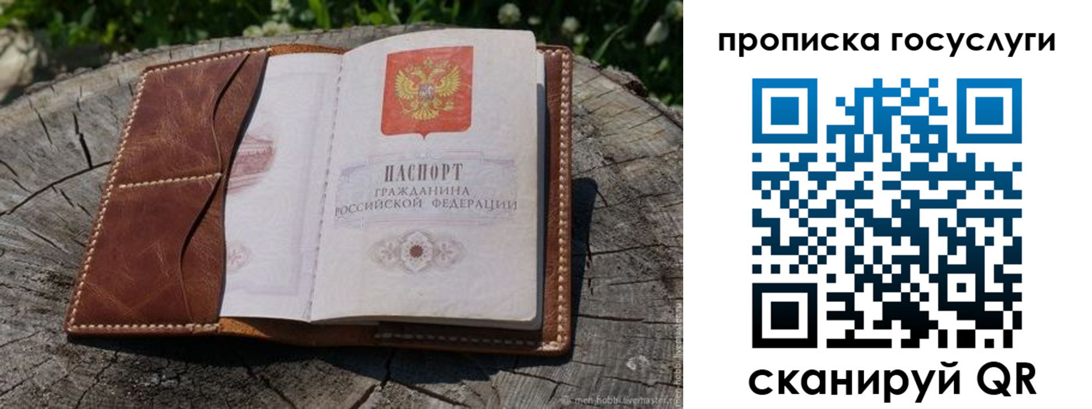 прописка для школы в Струнино